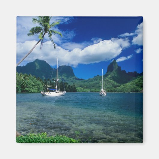 Particuliere jachten verankerd in Opunohu Bay op d Magneet (Voorkant)