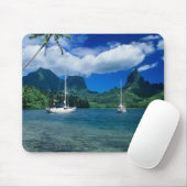 Particuliere jachten verankerd in Opunohu Bay op d Muismat (Met muis)