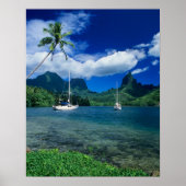 Particuliere jachten verankerd in Opunohu Bay op d Poster (Voorkant)