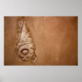 Partiële Hieroglyph Poster (Voorkant)