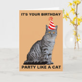PARTIJ ALS EEN CAT BIRTHDAY-KAART KAART (Gele Bloem)