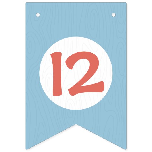 PARTIJ BIJ HET Kind VOOR DE AANPASSING VAN DE EXPL Vlaggetjes (Eerste vlag)