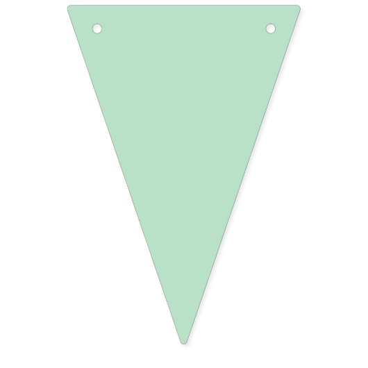  Partij Bunting Banner (Eerste vlag)