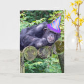 partij chimpansee voor humoristische verjaardag kaart (Gele Bloem)