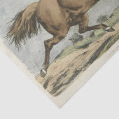 partij of vaartuig tissuepapier (Detail)