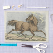 partij of vaartuig tissuepapier (Craft)