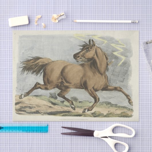 partij of vaartuig tissuepapier (Craft)