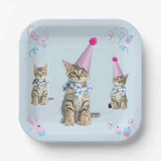 PARTIJ Tijd Cupcake Birthday Kitten Celebration Papieren Bordje