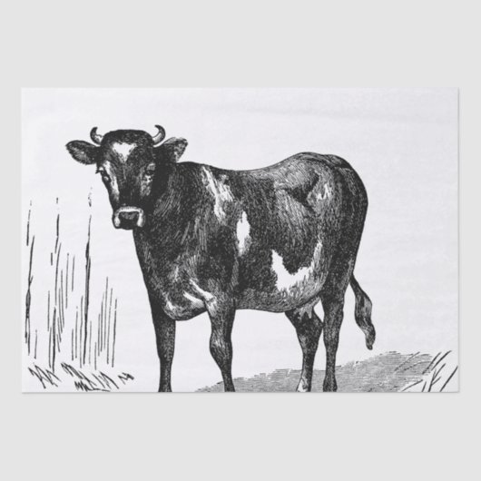 Partij vintage koe Boerderij Tissuepapier (Voorkant)