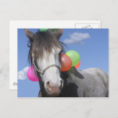 partijdier briefkaart (Voorkant / Achterkant)