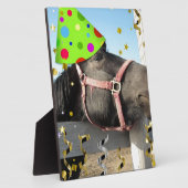 partijdierpaard fotoplaat (Zijkant)