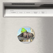 partijdierpaard magneet (Insitu (Vaatwasser))