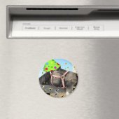 partijdierpaard magneet (Insitu (Vaatwasser))