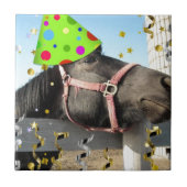 partijdierpaard tegeltje (Voorkant)