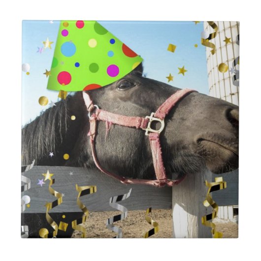 partijdierpaard tegeltje (Voorkant)