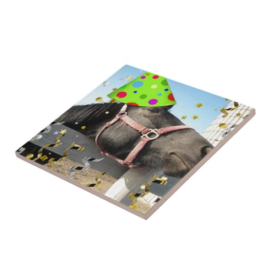 partijdierpaard tegeltje (Zijkant)