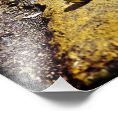 partijkringen in New Orleans Foto Afdruk (Hoek)