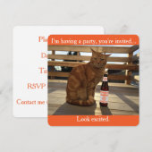 partijuitnodiging met een oranje kat kaart (Voorkant / Achterkant)