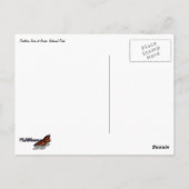 Partition Arch II at Arches National Park Briefkaart (Achterkant)