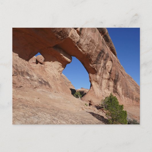 Partition Arch II at Arches National Park Briefkaart (Voorkant)