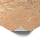 Partition Arch II in Arches National Park Poster (Hoek)