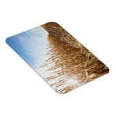 Partly Harvested Corn Field Magneet (Rechterzijde)