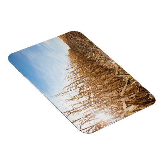 Partly Harvested Corn Field Magneet (Rechterzijde)