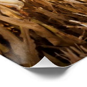 Partly Harvested Corn Field Poster (Hoek)