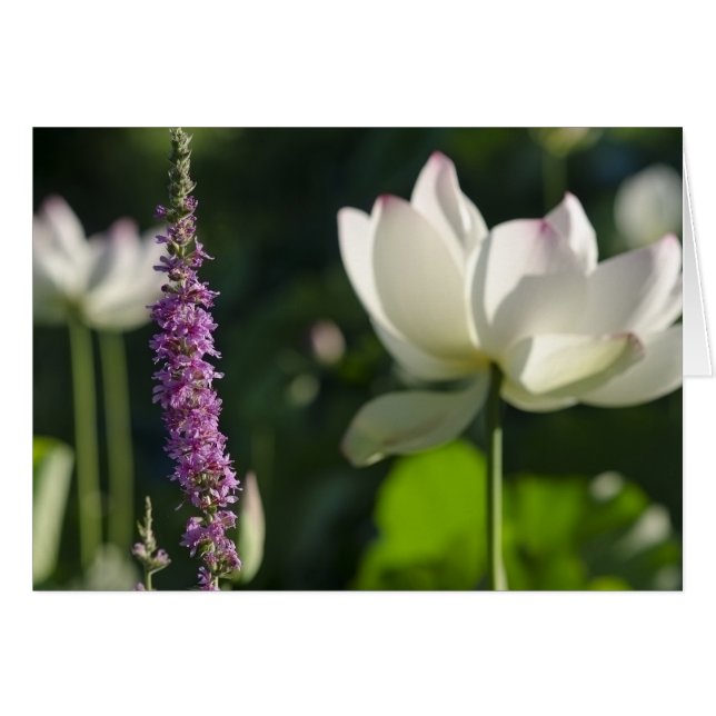 Partners (Voorkant Horizontaal)