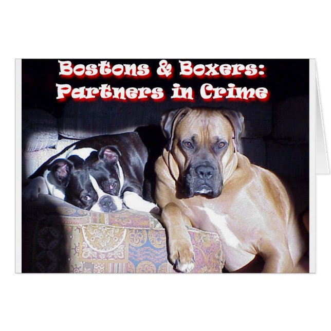 Partners in criminaliteit (Voorkant Horizontaal)