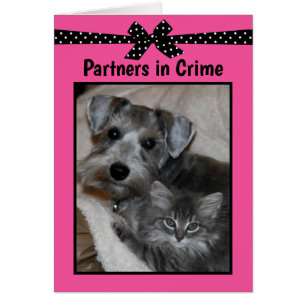 "Partners in criminaliteit"