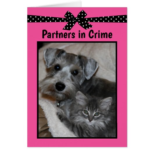 "Partners in criminaliteit" (Voorkant)