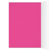 "Partners in criminaliteit" (Binnen (Links))