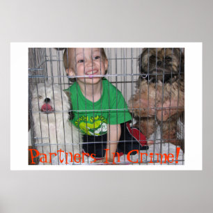 Partners in misdaad! poster