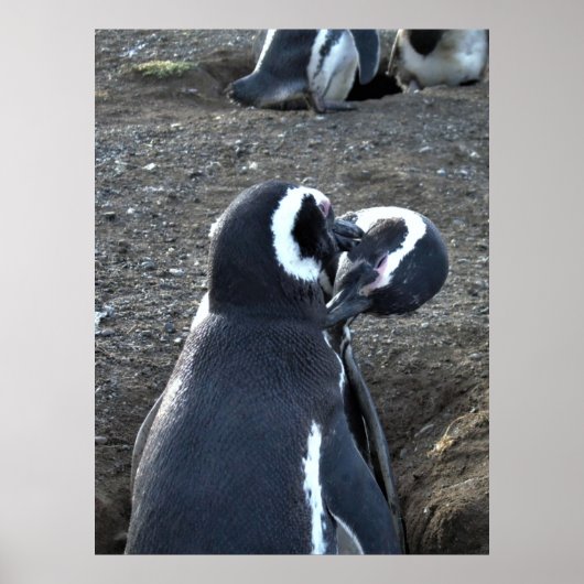 Partners voorbereiden poster (Voorkant)