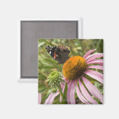 partnerschap, symbiotisch, help, schoonheid, magneet (Voorkant / Achterkant)