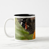 partnerschap, symbiotisch, help, schoonheid, tweekleurige koffiemok (Links)