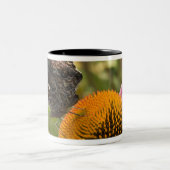 partnerschap, symbiotisch, help, schoonheid, tweekleurige koffiemok (Center)