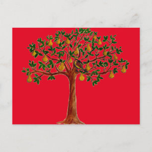 Partridge 2 in een Briefkaart met perenbomen