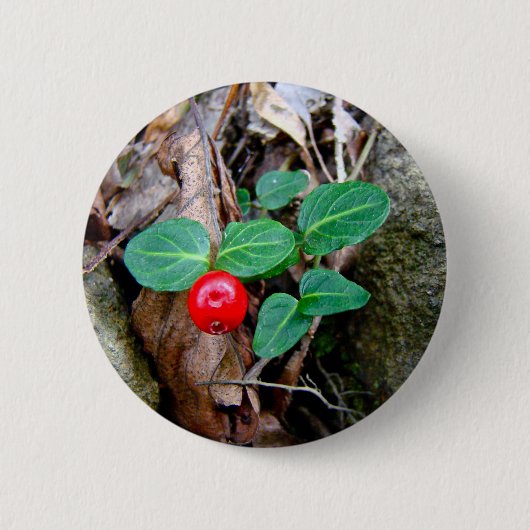 Partridge Berry Wildflower Ronde Button 5,7 Cm (Voorkant)