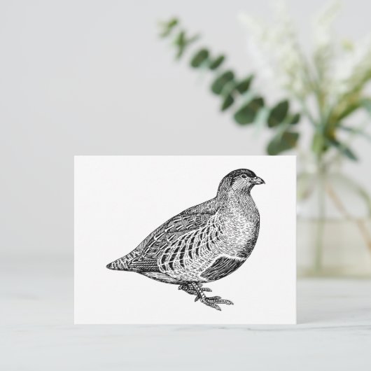 Partridge Bird Art Briefkaart (Staand voorkant)