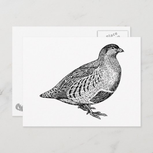 Partridge Bird Art Briefkaart (Voorkant / Achterkant)