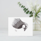 PARTRIDGE BRIEFKAART (Staand voorkant)