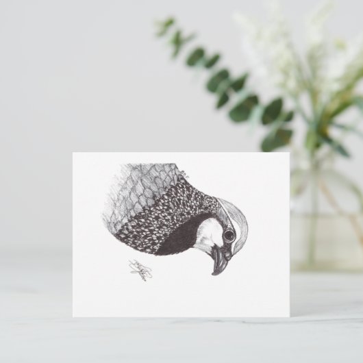 PARTRIDGE BRIEFKAART (Staand voorkant)