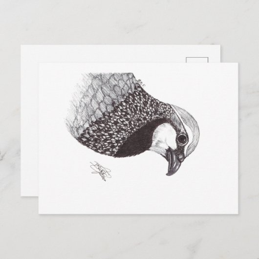 PARTRIDGE BRIEFKAART (Voorkant / Achterkant)