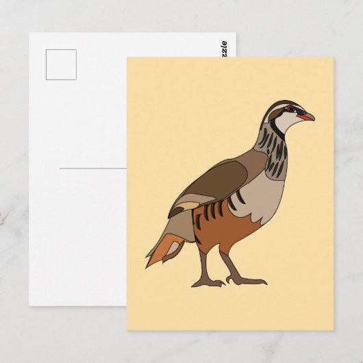 Partridge Chukar Bird Briefkaart (Voorkant / Achterkant)