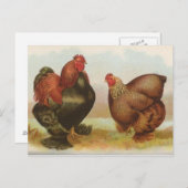 Partridge Cochins Briefkaart (Voorkant / Achterkant)