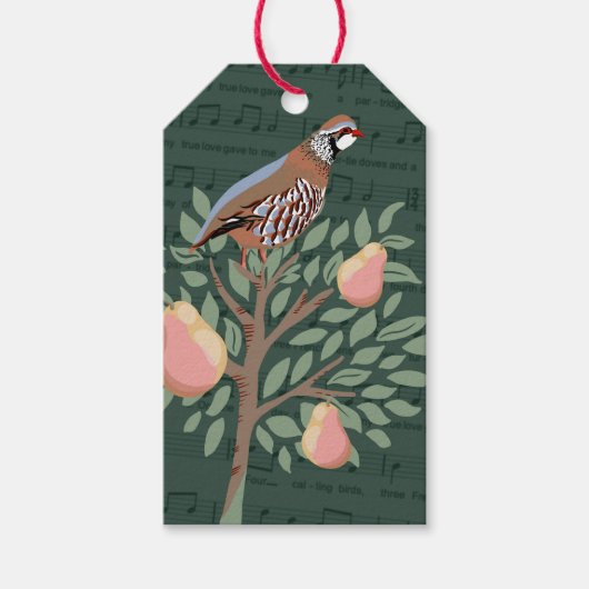 Partridge in a pear tree Christmas Carole on green Cadeaulabel (Voorkant)