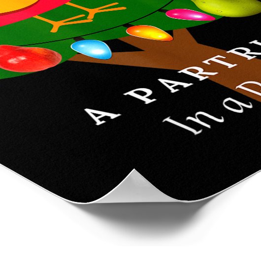 Partridge In A Pear Tree Twelve Days Of Christmas  Poster (Hoek)