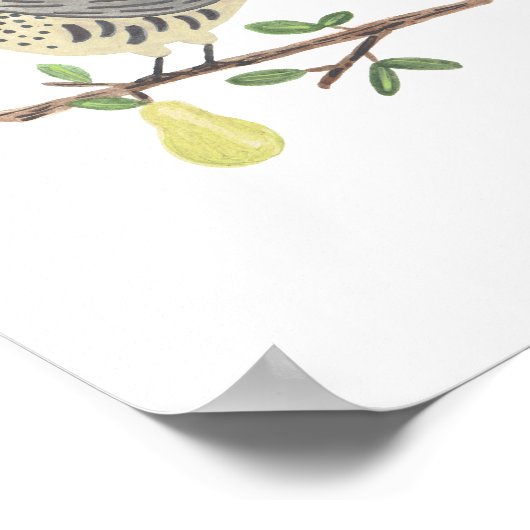 Partridge in een perenboom poster (Hoek)